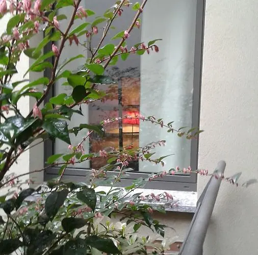 Via Carcano 13 Όπως